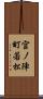 宮ノ陣町若松 Scroll