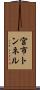 宮市トンネル Scroll