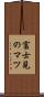 富士見のマツ Scroll