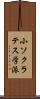 小ソクラテス学派 Scroll