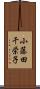 小藤田千栄子 Scroll