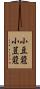 小豆蒄 Scroll