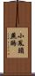 小鳳頭燕鷗 Scroll