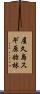 屋久島スギ原始林 Scroll