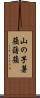 山の芋 Scroll