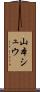 山本シュウ Scroll