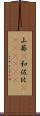 山葵(P) Scroll