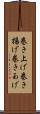 巻き上げ Scroll