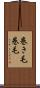 巻き毛 Scroll