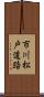 市川松戸道路 Scroll