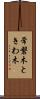 常磐木 Scroll