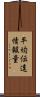 平均伝達情報量 Scroll