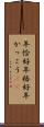 年恰好 Scroll