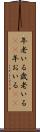 年老いる Scroll