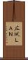広域ＬＡＮ Scroll