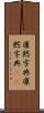 康熙字典 Scroll