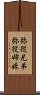 弥従兄弟 Scroll