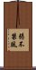 弱不禁風 Scroll