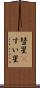 彗星(P) Scroll