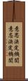 意思決定機関 Scroll