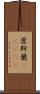 愛斯蘭(ateji) Scroll