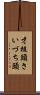 才槌頭 Scroll