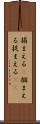 捕まえる(P) Scroll