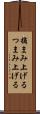 摘まみ上げる Scroll