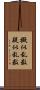 擬似乱数 Scroll