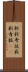 斬新奇抜 Scroll