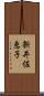 新井佐恵子 Scroll
