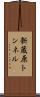 新蔵原トンネル Scroll