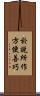 於說所作方便善巧 Scroll