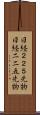 日経２２５先物 Scroll