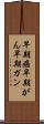 早期癌 Scroll