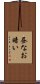 昼なお暗い Scroll