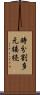 時分割多元接続 Scroll