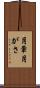 月暈 Scroll