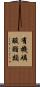 有機磷酸酯類 Scroll