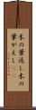 木の葉返し Scroll
