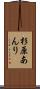 杉原あんり Scroll