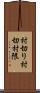 村切り Scroll