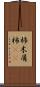 杮 Scroll