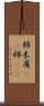 杮 Scroll
