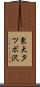東大タツボ沢 Scroll
