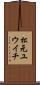 松元ユウイチ Scroll