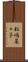 松嶋菜々子 Scroll