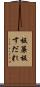 板簾 Scroll