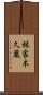 林家木久蔵 Scroll