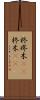 柊 Scroll